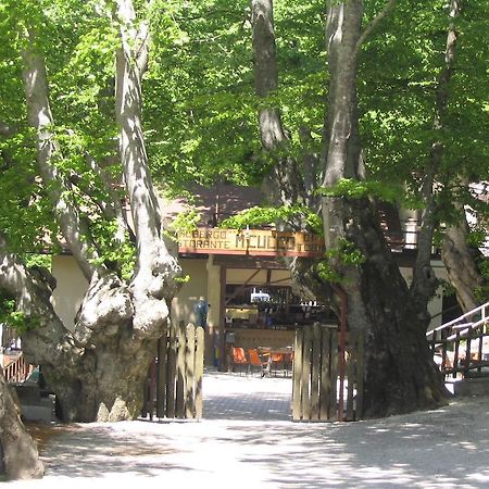 Albergo Ristorante Montecucco Da Tobia Sigillo Buitenkant foto