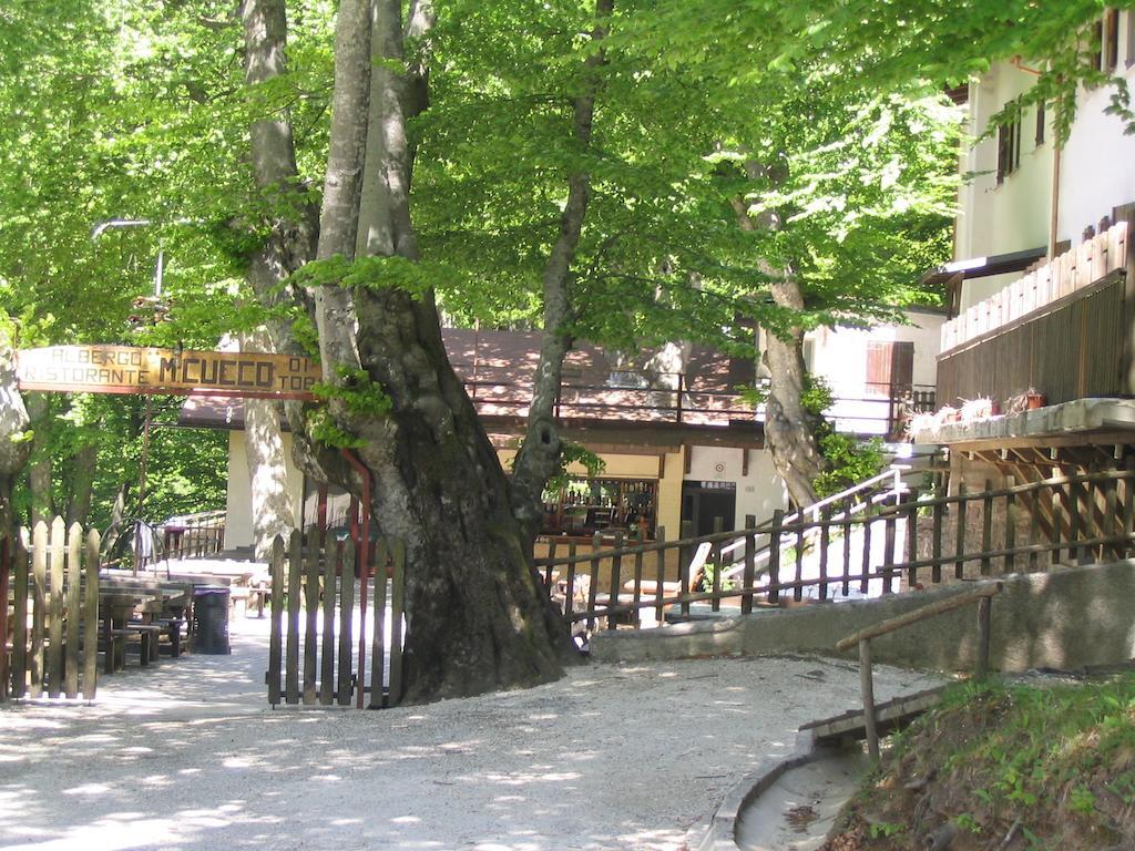 Albergo Ristorante Montecucco Da Tobia Sigillo Buitenkant foto
